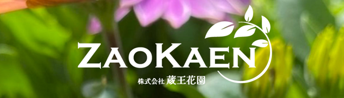 �R�`�����͍]�s�̑����ԉ������T�C�g